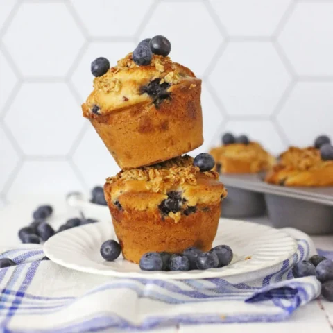  2G0A6595-678x1024-1-480x480 Blueberry Ice Cream Muffins  