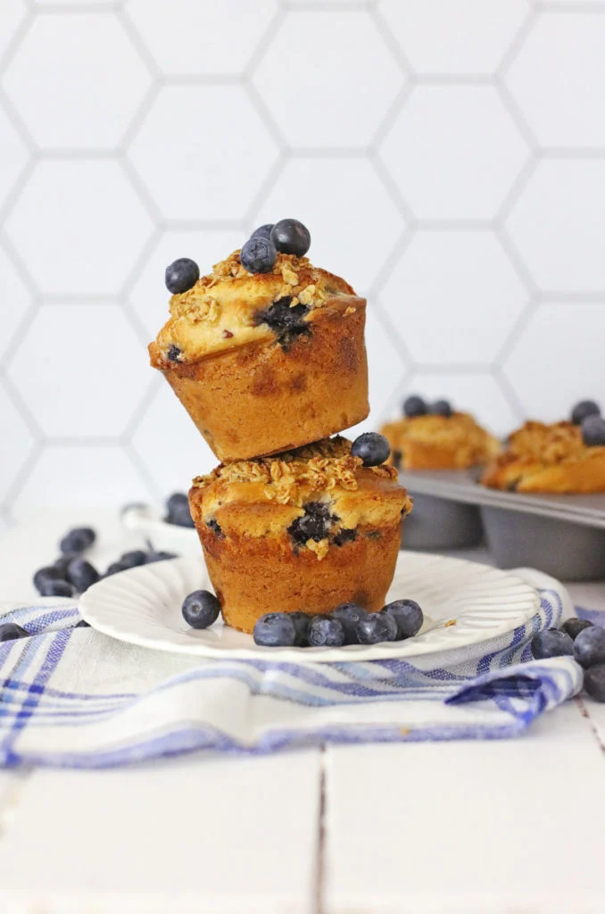 2G0A6595-678x1024-1 Blueberry Ice Cream Muffins