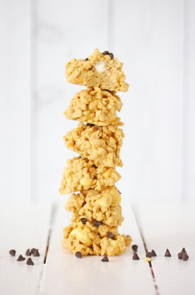 2G0A5788-1-678x1024 Avalanche cookies