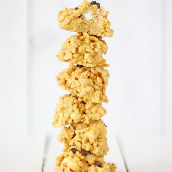  2G0A5788-720x720 Back to School Recipes  