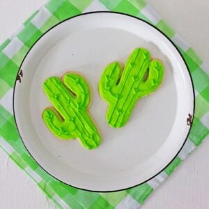  2G0A4949-300x300 Cactus cut out cookies  