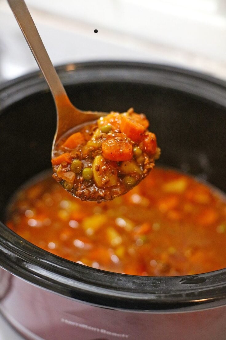  2G0A5451-735x1103 25 Best All-Day Crockpot Recipes  