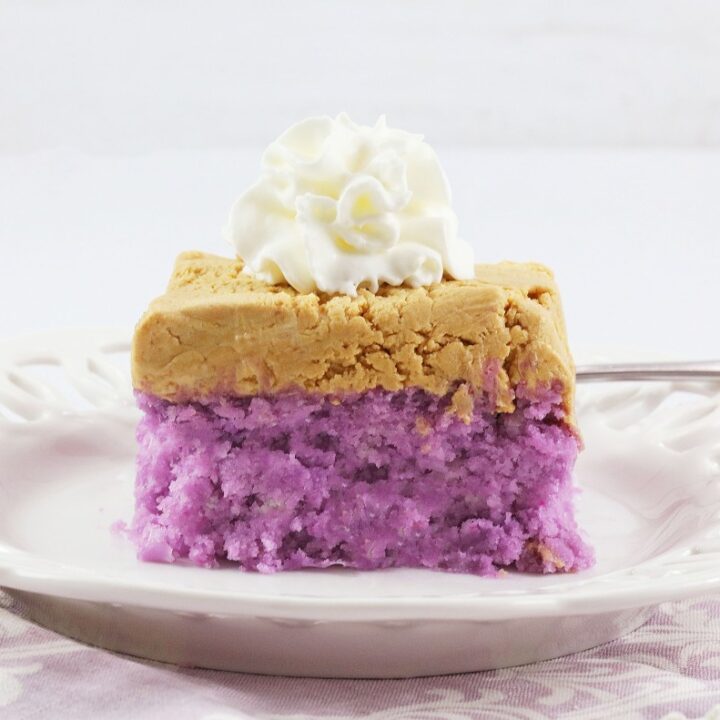  2G0A6293-720x720 EGGLESS PEANUT BUTTER & JELLY CAKE  