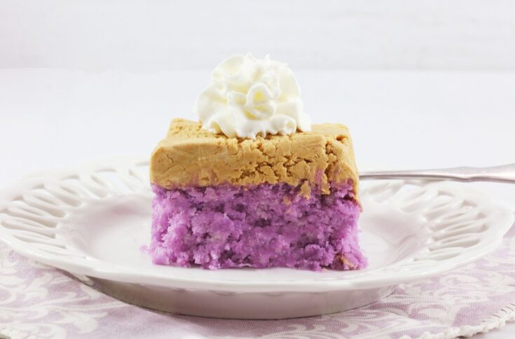  2G0A6293-735x484 EGGLESS PEANUT BUTTER & JELLY CAKE  