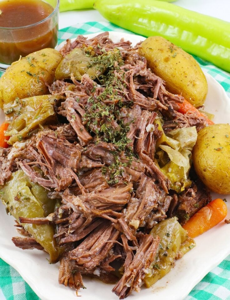  2G0A9764-735x958 25 Best All-Day Crockpot Recipes  