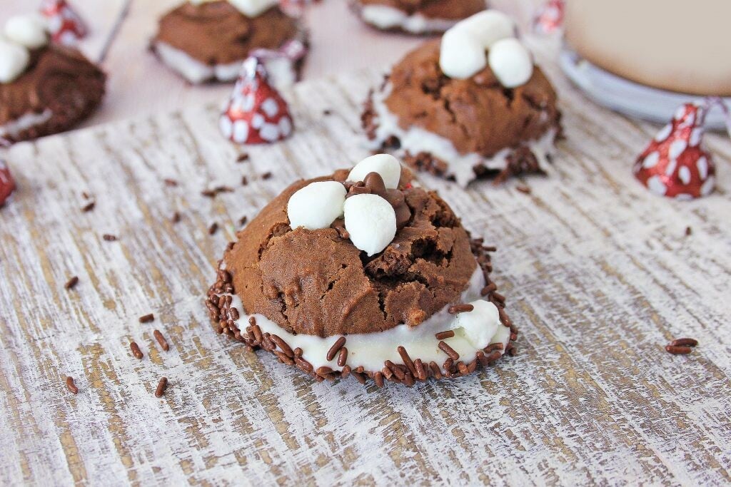  coco-cookies Chocolate sugar ghost cookies  