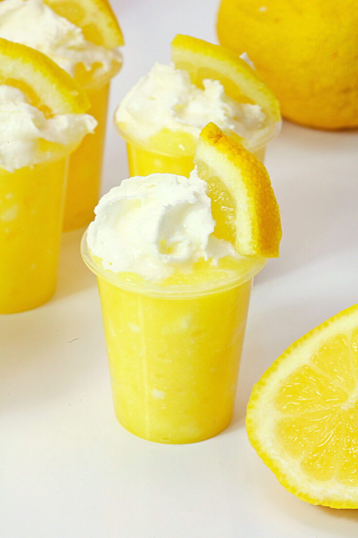  2G0A1967-1-735x1103 Lemon Pudding Shots  