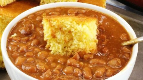  2G0A8887-1-672x1024-1-480x270 Back to School Recipes  
