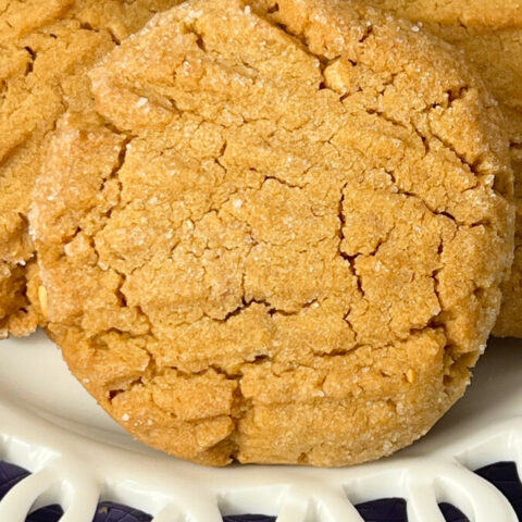  IMG_9981_jpg-480x480 Back to School Recipes  
