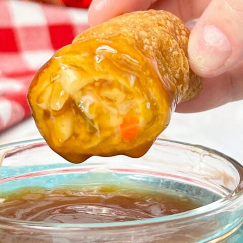 IMG_3031_jpg-480x480 Homemade Egg Rolls