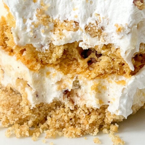  IMG_1140_jpg-1-480x480 Chocolate Chip Cookie Lasagna  