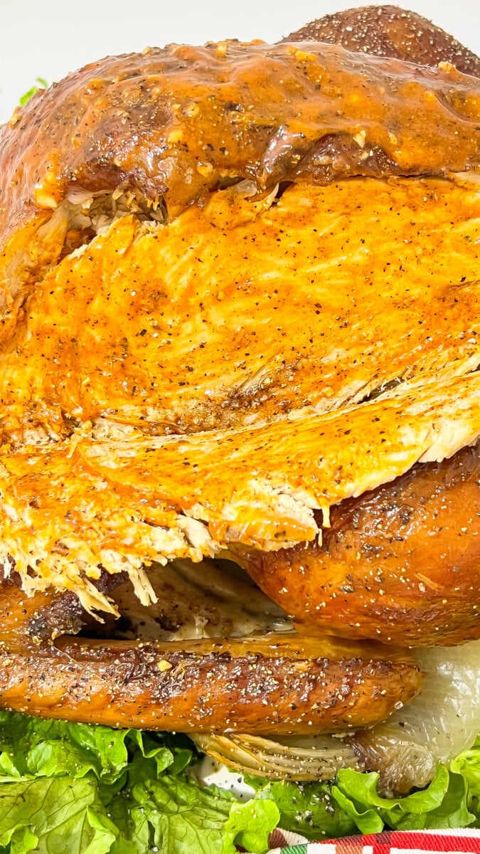  IMG_0198_jpg Buffalo Turkey  