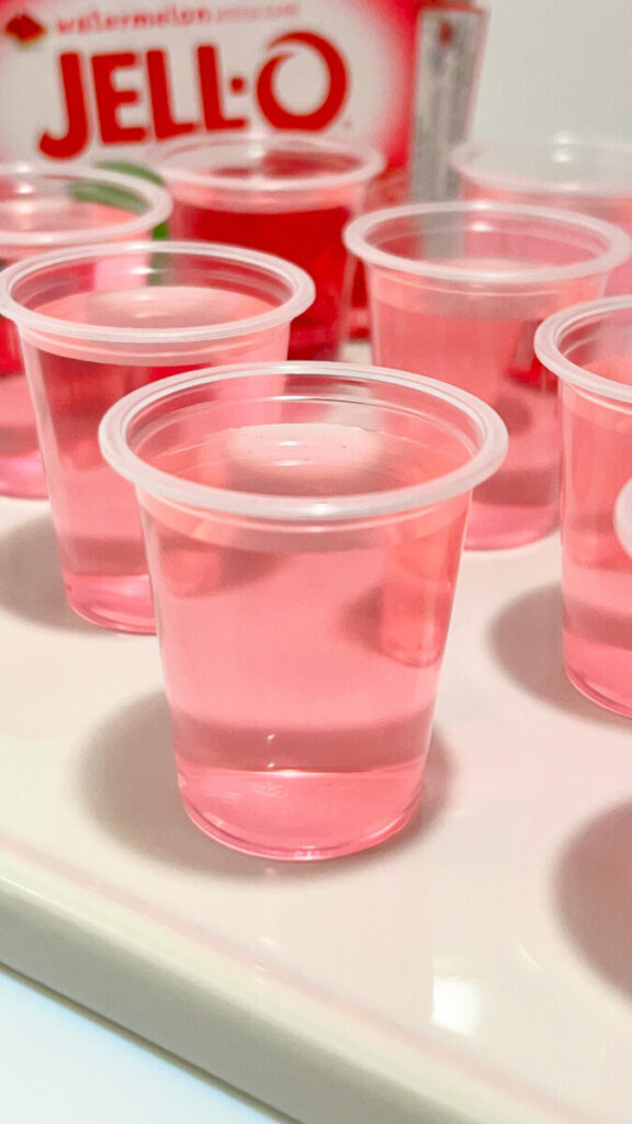  IMG_1105_jpg-576x1024 Watermelon Jello Shots Recipe  