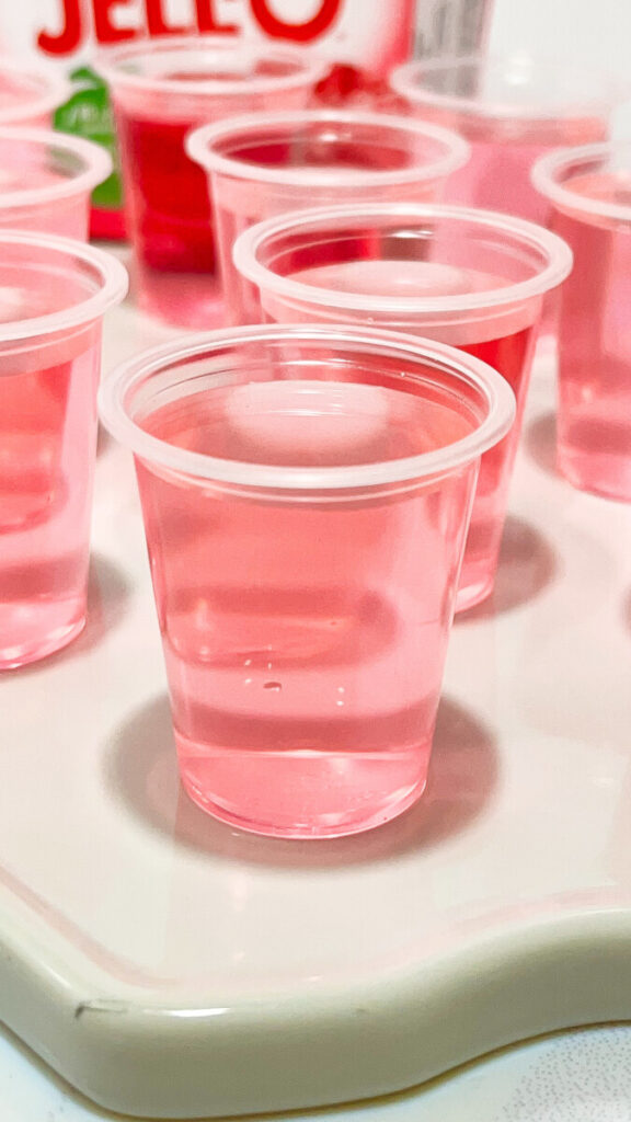  IMG_1112_jpg-576x1024 Watermelon Jello Shots Recipe  