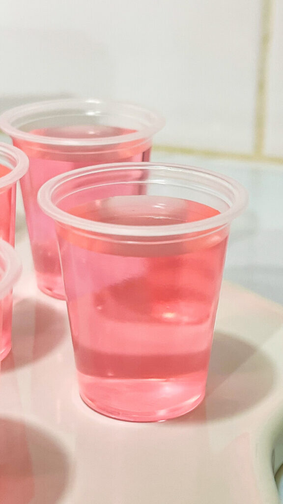  IMG_1116_jpg-576x1024 Watermelon Jello Shots Recipe  