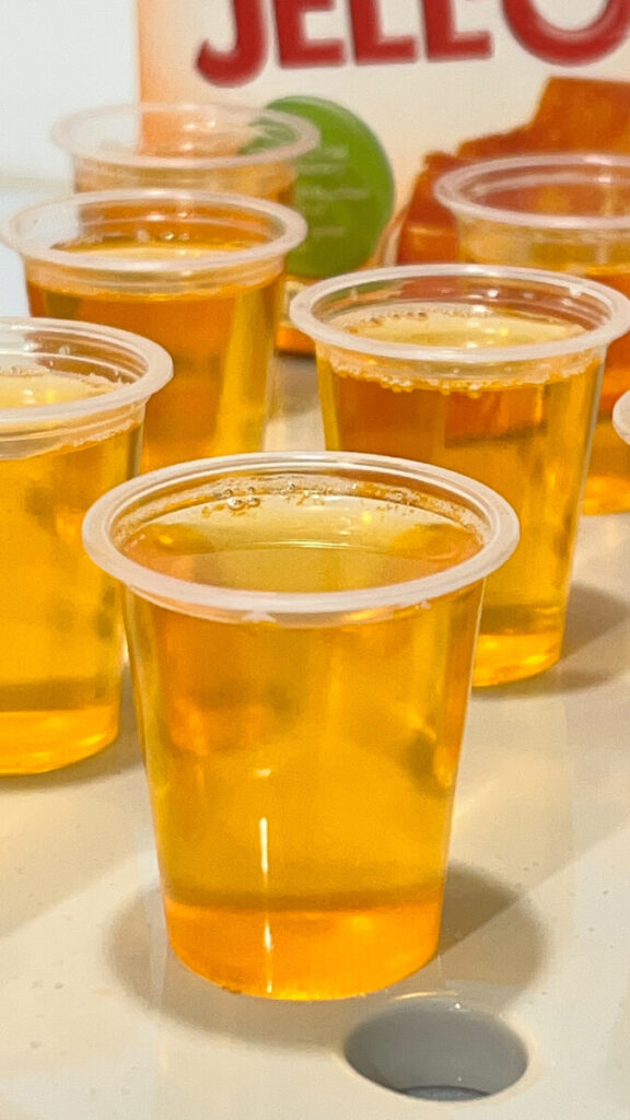  IMG_1488_jpg-576x1024 Easy Orange Jello Shots  