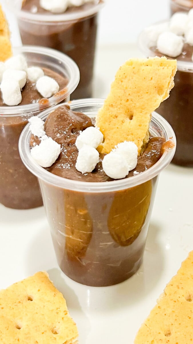  IMG_2179_jpg S’mores Pudding Shots  