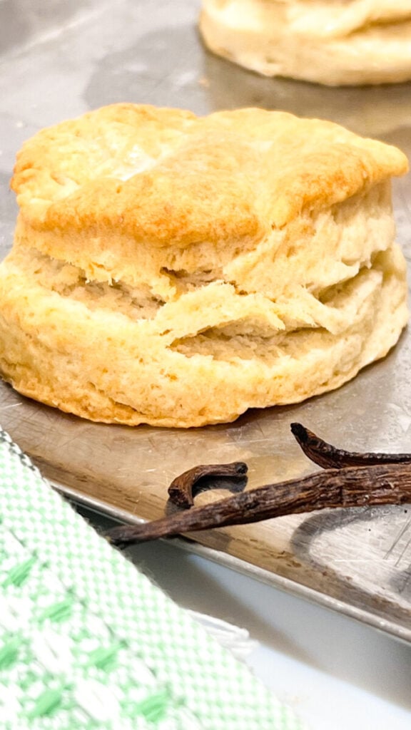  IMG_0969_jpg-576x1024 Vanilla Bean Biscuits  