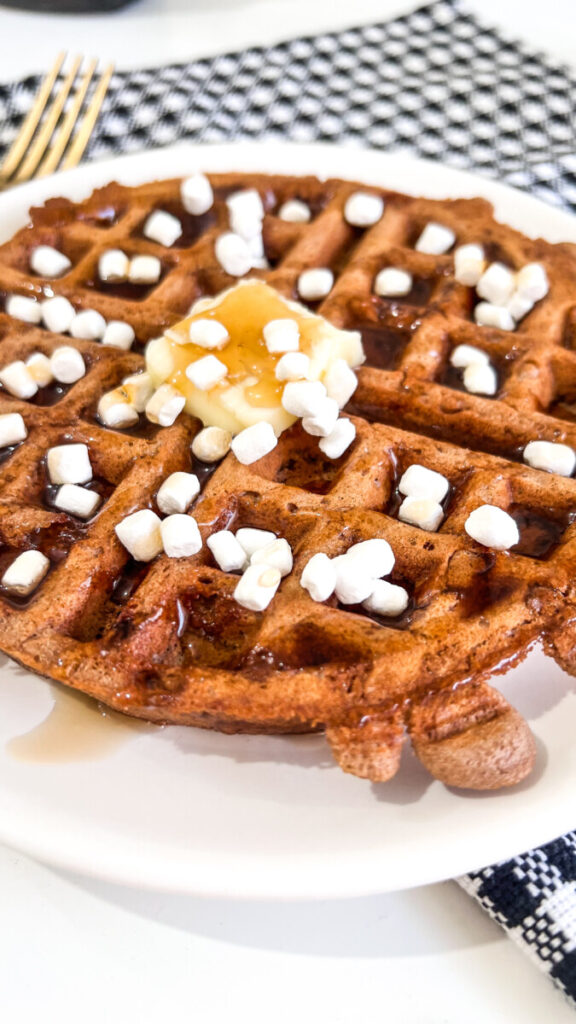 IMG_1161_jpg-576x1024 Hot Cocoa Waffles Recipe
