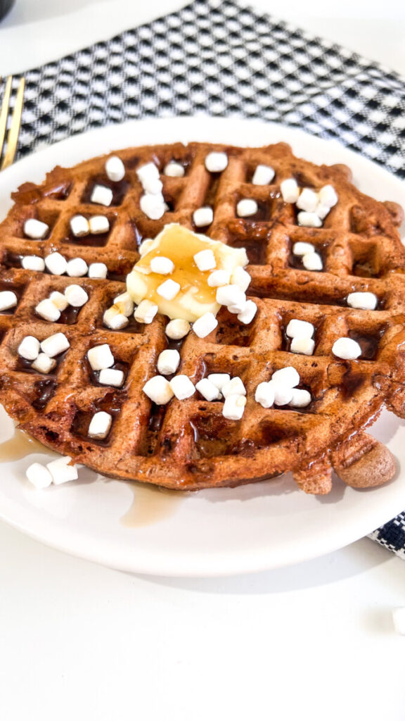 IMG_1166_jpg-576x1024 Hot Cocoa Waffles Recipe