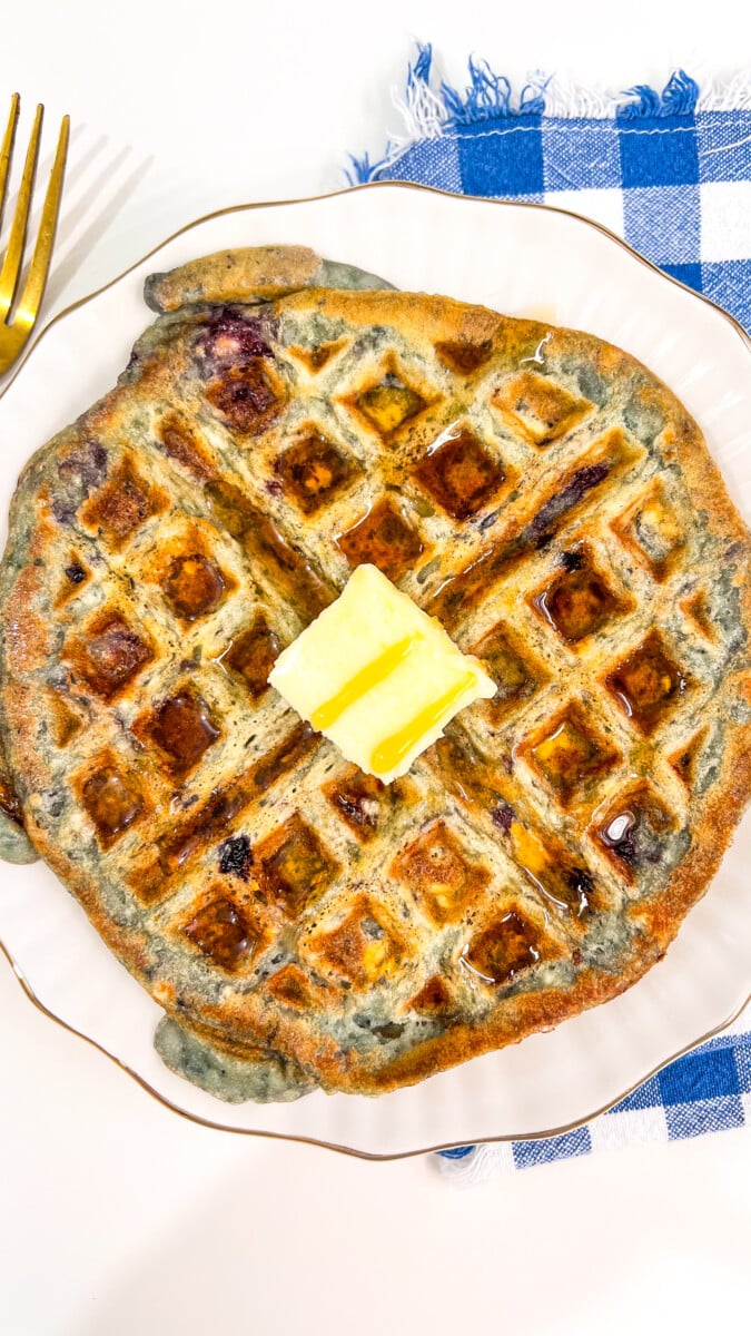  IMG_1366_jpg Fluffy Blueberry Waffles  