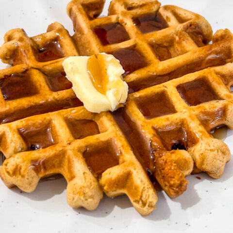  IMG_1733_jpg-480x480 Back to School Recipes  