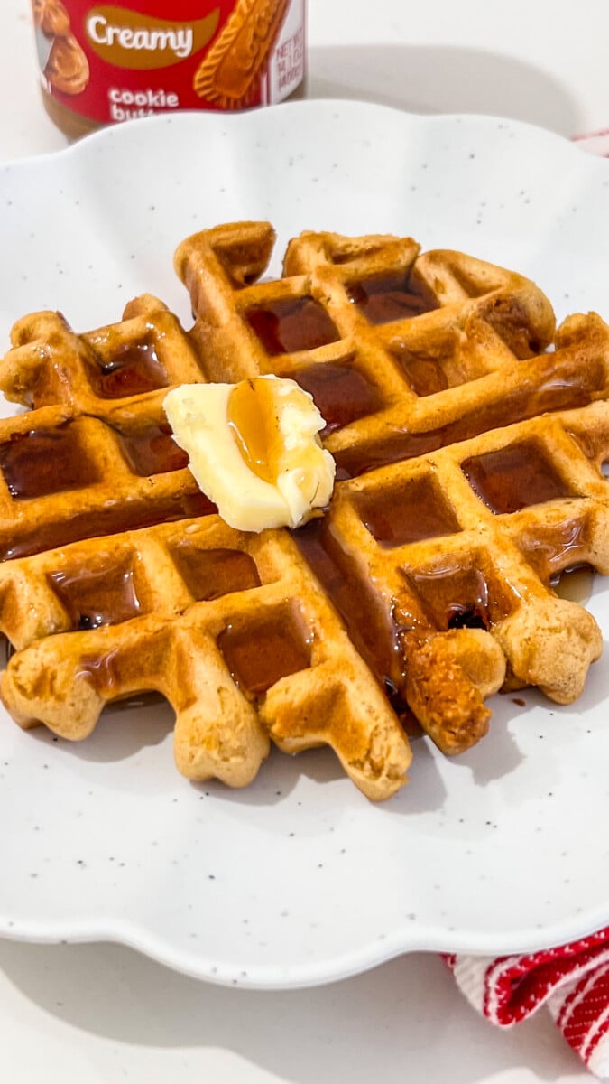  IMG_1733_jpg Cookie Butter Waffles  