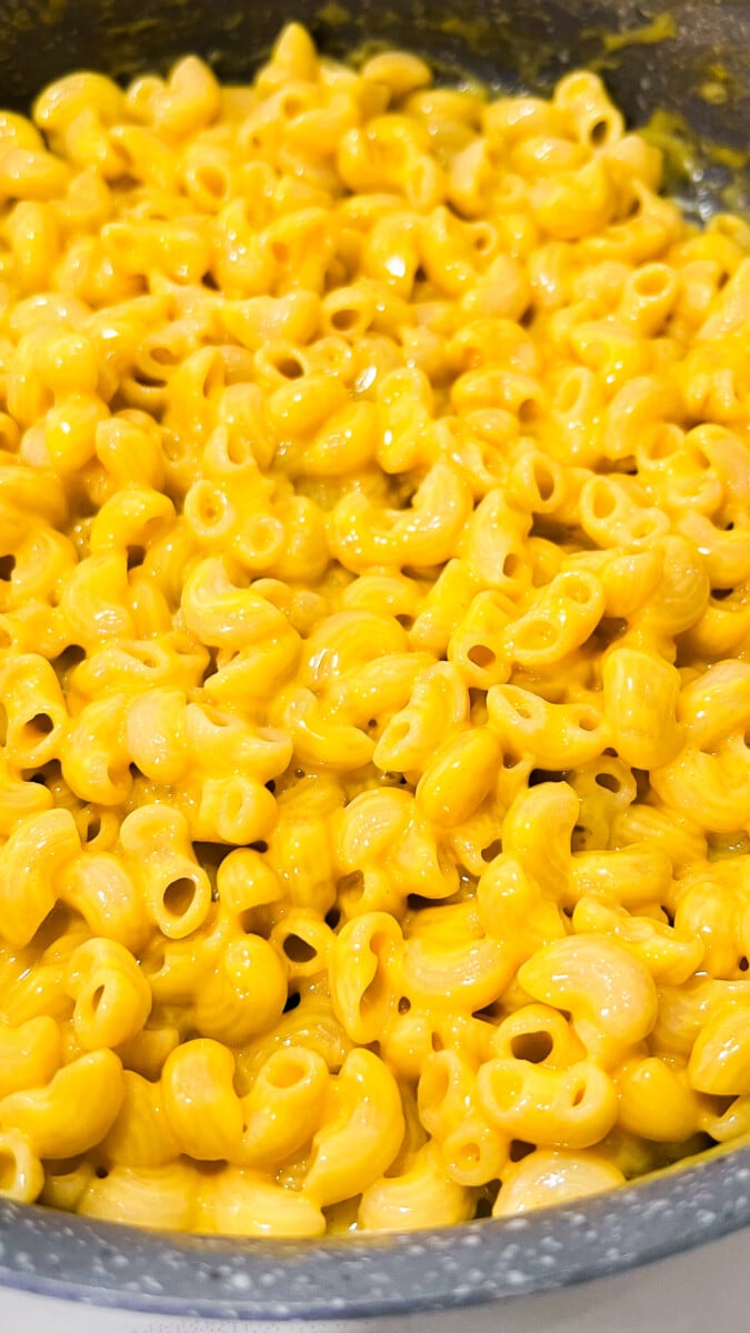  IMG_2165_jpg-1 Creamy Cheesy Pasta  