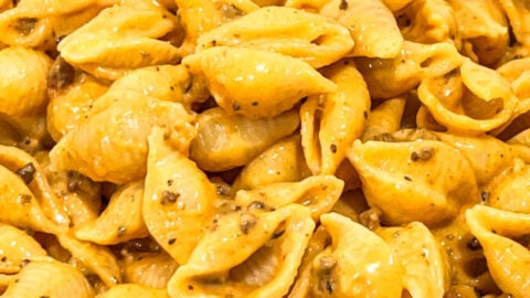  IMG_2322_jpg-480x270 Back to School Recipes  