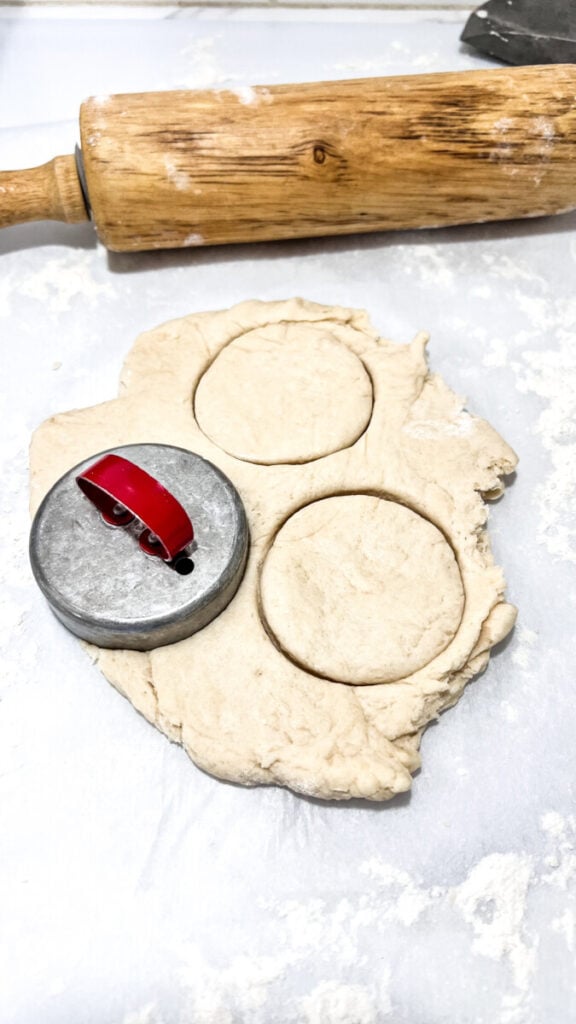  IMG_2500_jpg-1-576x1024 Can You Make Biscuits with Crisco? Easy Flaky Homemade Recipe  