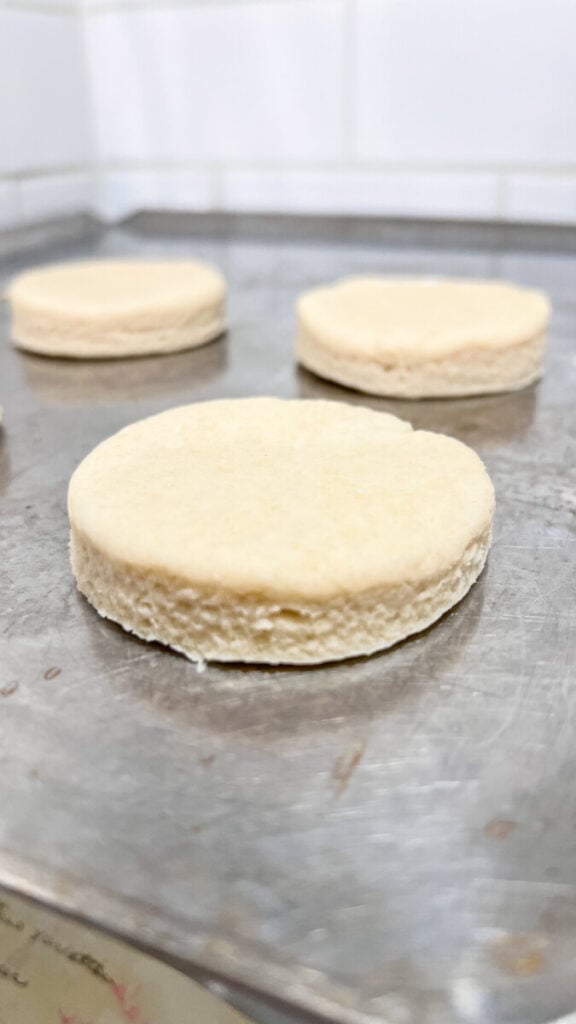  IMG_2502_jpg-576x1024 Can You Make Biscuits with Crisco? Easy Flaky Homemade Recipe  