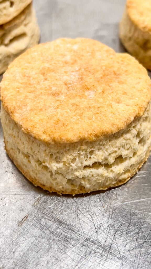  IMG_2549_jpg-576x1024 Can You Make Biscuits with Crisco? Easy Flaky Homemade Recipe  