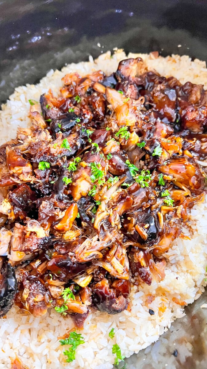  IMG_4710_jpg Crock Pot Bourbon Chicken and Rice  