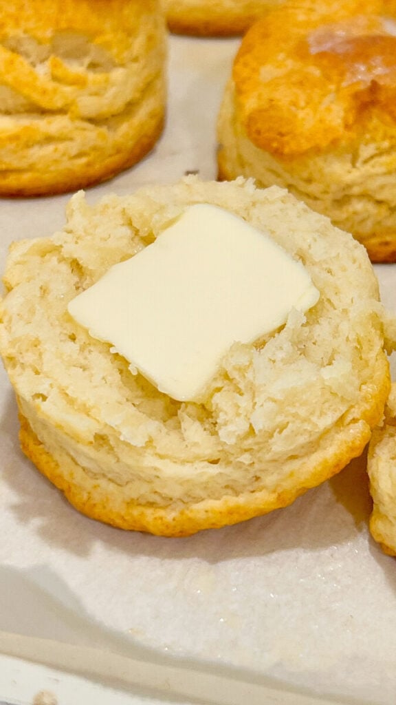  IMG_5027_jpg-576x1024 Homemade Biscuit Recipe  