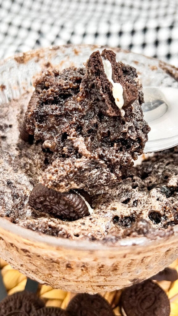  IMG_5378_jpg-576x1024 Oreo Mug Cake  