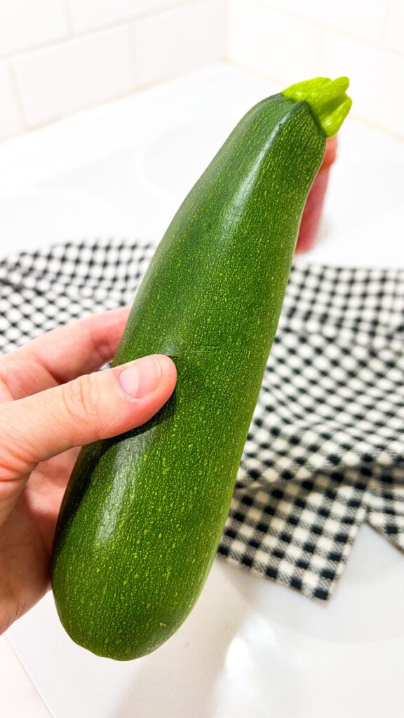  IMG_8194_jpg-576x1024 How to Grow Zucchini  