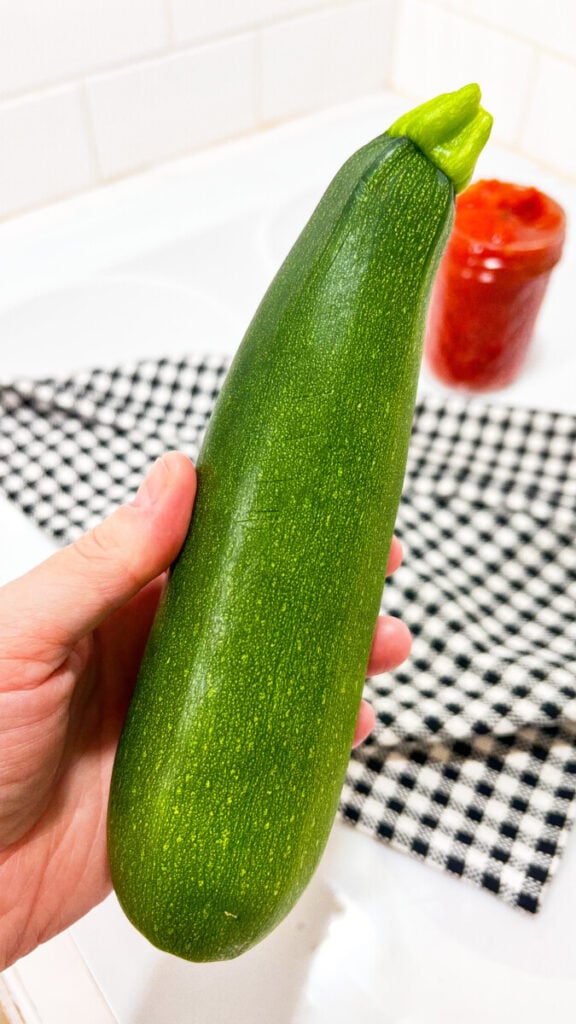  IMG_8197_jpg-576x1024 How to Grow Zucchini  