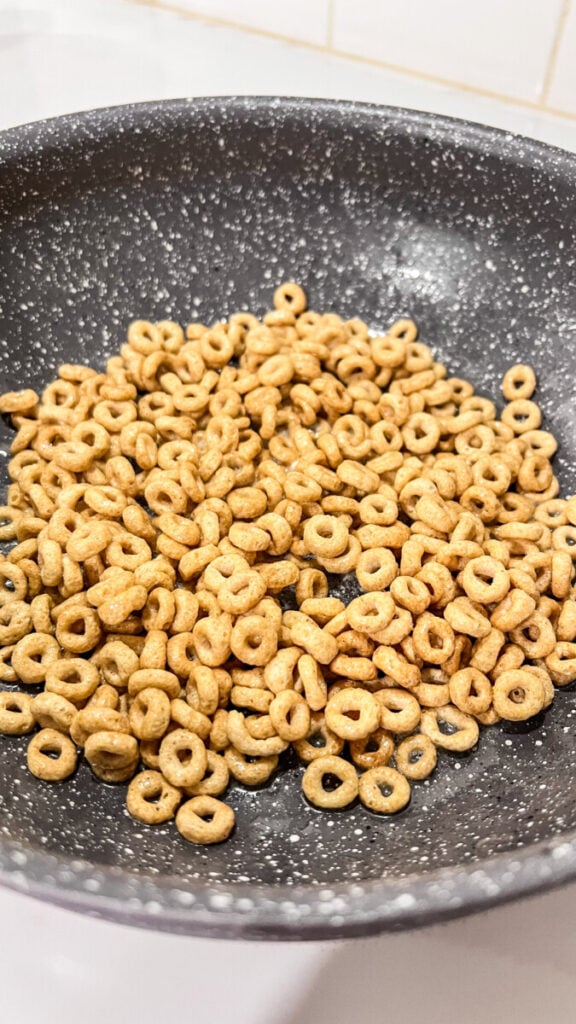  IMG_8842_jpg-576x1024 Hot Buttered Cheerios  