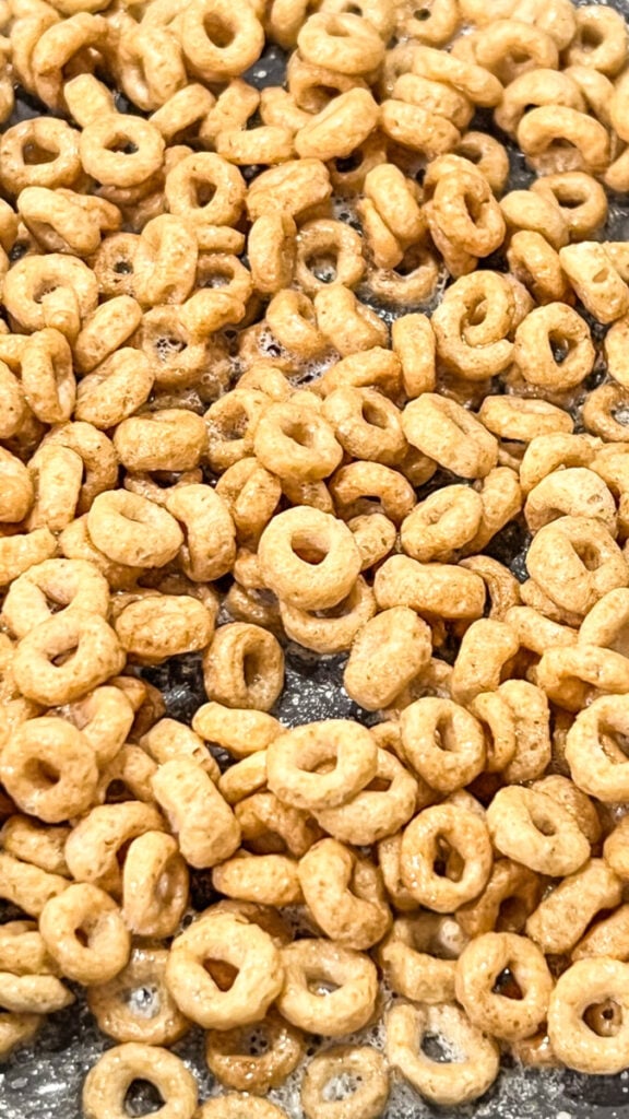 IMG_8865_jpg-576x1024 Hot Buttered Cheerios  