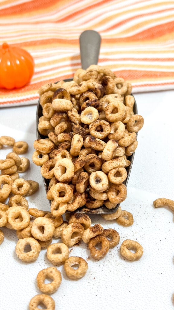  IMG_8977_jpg1-576x1024 Pumpkin Spice Hot Buttered Cheerios  