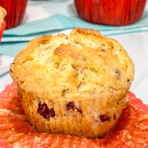  IMG_5316_jpg-480x480 Back to School Recipes  