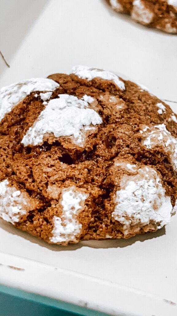 IMG_5729_jpg-576x1024 Chocolate Crinkle Cookies