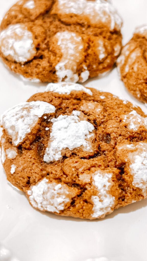 IMG_5761_jpg-1-576x1024 Chocolate Crinkle Cookies