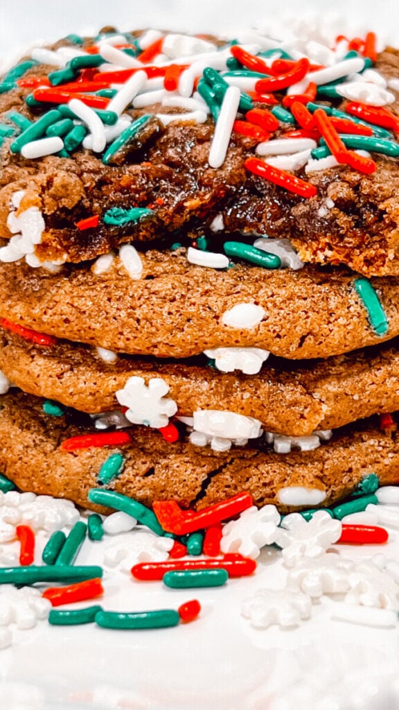 IMG_5981_jpg-576x1024 Chocolate Christmas Sprinkle Cookies