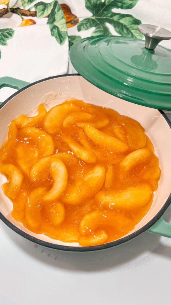  IMG_6101_jpg-576x1024 Fried Apples  