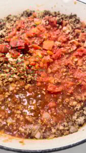  IMG_6186_jpg-169x300 Spaghetti and Meat Sauce  