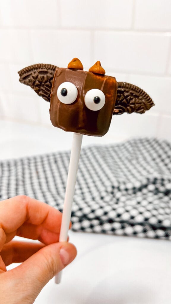 IMG_6761_jpg-576x1024 Bat Marshmallow Pops