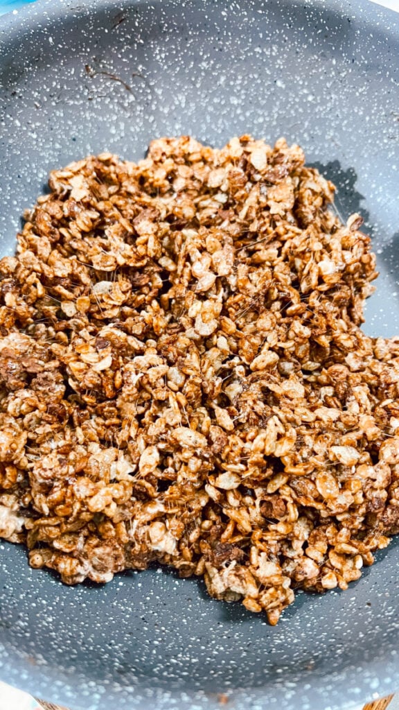  IMG_6765_jpg-576x1024 Spooky Spider Cocoa Krispy Treats  