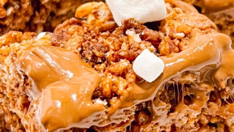  IMG_6945_jpg-480x270 Back to School Recipes  