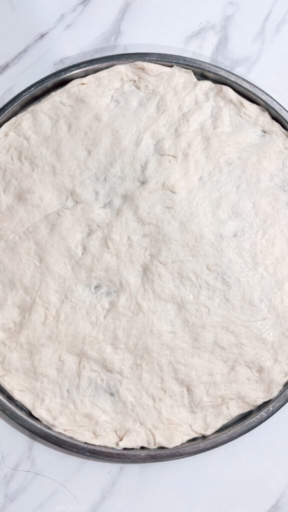  IMG_7104_jpg-576x1024 Homemade Pizza Dough Recipe  